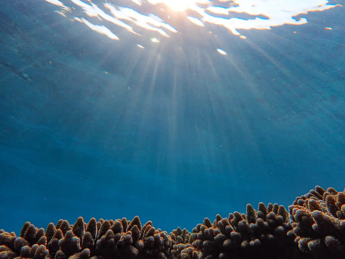 Zonlicht dat door het wateroppervlak van de oceaan breekt